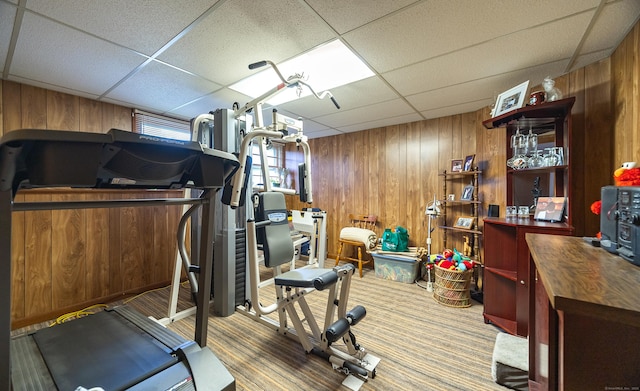 895 W Woods Rd, Hamden, CT 06518 - workout area featuring wood walls, a drop ceiling, and carpet