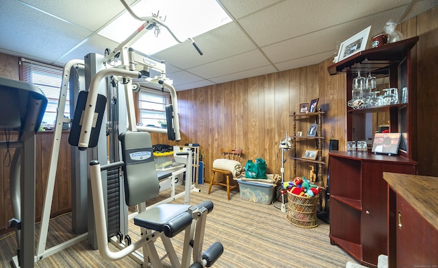 895 W Woods Rd, Hamden, CT 06518 - exercise area featuring a drop ceiling, wooden walls, and carpet flooring