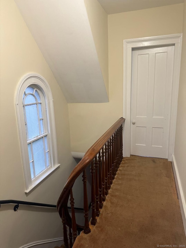 201 Center St, West Haven, CT 06516 - stairs featuring carpet floors