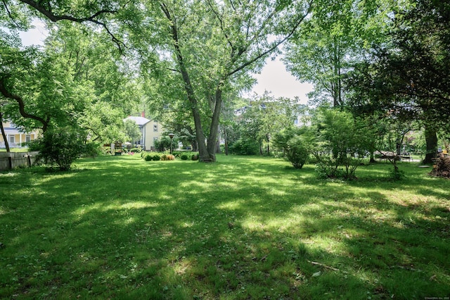 189 Broadway, Norwich, CT 06360 - view of yard