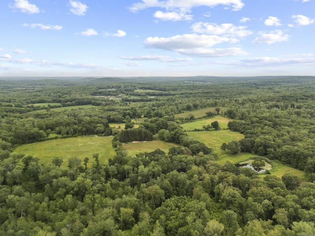 55A Anna Farm Rd W, North Stonington, CT 06359 - photo 7