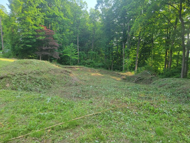 126 Stony Hill Rd, Brookfield, CT 06804 - photo 3