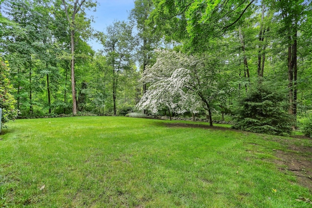 11 Catamount Rd, Westport, CT 06880 - photo 25