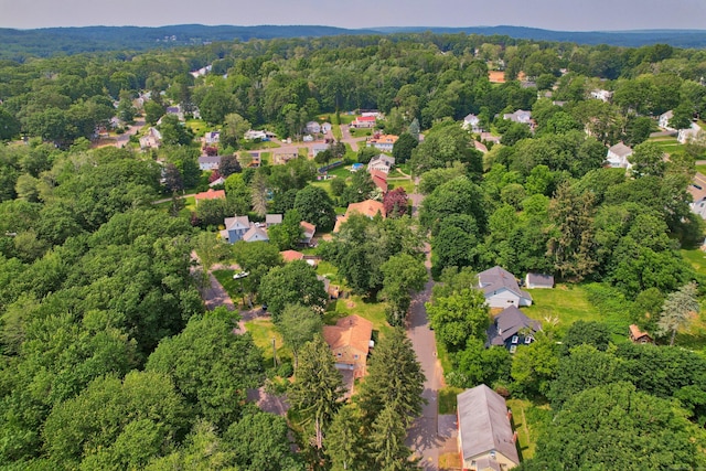 19 Benedict St, Plymouth, CT 06786 - aerial view of property's location featuring a heavily wooded area