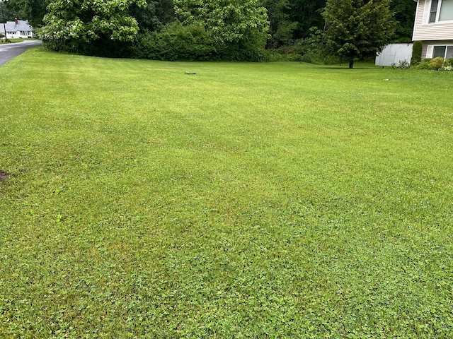 15 Great Meadow Rd, Danbury, CT 06811 - view of grassy yard