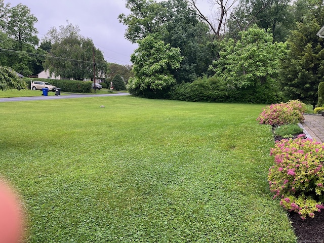 15 Great Meadow Rd, Danbury, CT 06811 - view of grassy yard