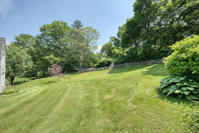 135 Jackson St, Torrington, CT 06790 - view of green lawn