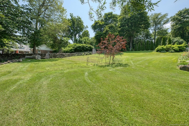 135 Jackson St, Torrington, CT 06790 - view of green lawn