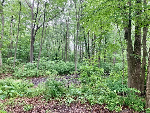 Kellys Cor, Lebanon, CT 06249