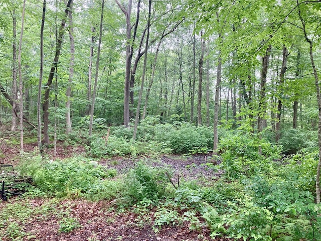 Kellys Cor, Lebanon, CT 06249