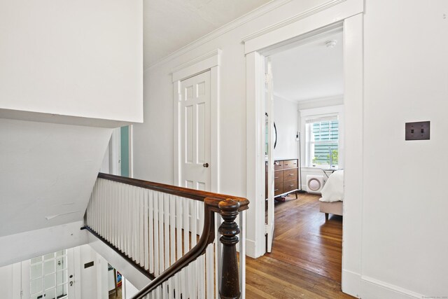 30 Cleveland Rd, New Haven, CT 06515 - hallway featuring wood finished floors and ornamental molding
