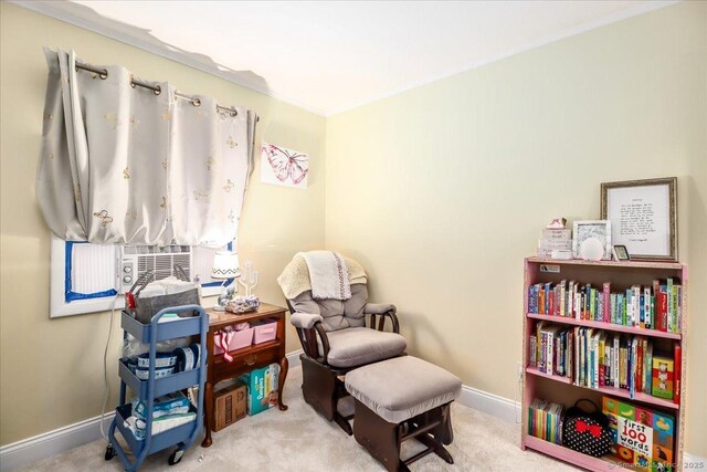 19 Birchwood Dr, New Milford, CT 06776 - photo 23