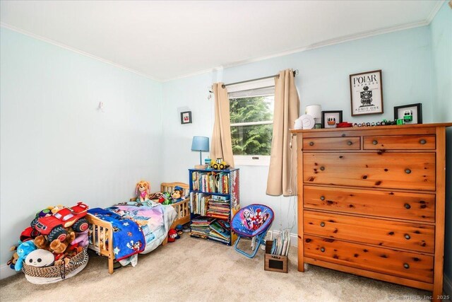 19 Birchwood Dr, New Milford, CT 06776 - photo 26