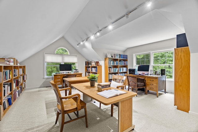102 Leetes Island Rd, Guilford, CT 06437 - office area featuring rail lighting, carpet flooring, lofted ceiling, and plenty of natural light