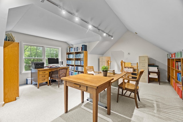 102 Leetes Island Rd, Guilford, CT 06437 - office space with track lighting, vaulted ceiling, light colored carpet, and baseboards