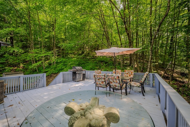 40 Mount Tom Rd, New Milford, CT 06776 - photo 8