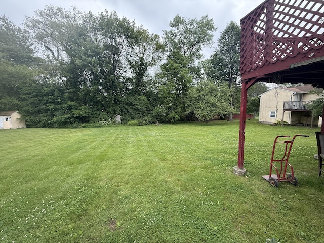 6 Sandra Dr, Bloomfield, CT 06002 - view of green lawn