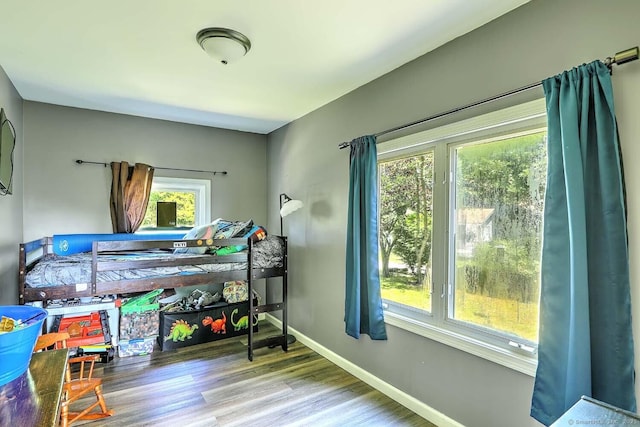63 Bailey St, Brooklyn, CT 06234 - bedroom featuring multiple windows and wood finished floors