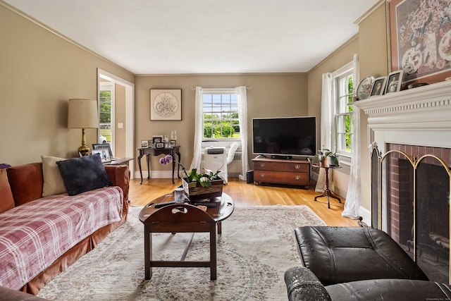 46 Dyer Ave, Canton, CT 06019 - living area with a fireplace, light wood finished floors, and crown molding