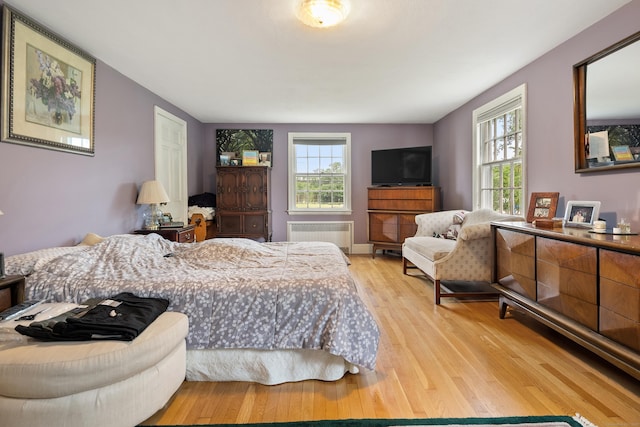 46 Dyer Ave, Canton, CT 06019 - bedroom with radiator heating unit and light wood-style flooring