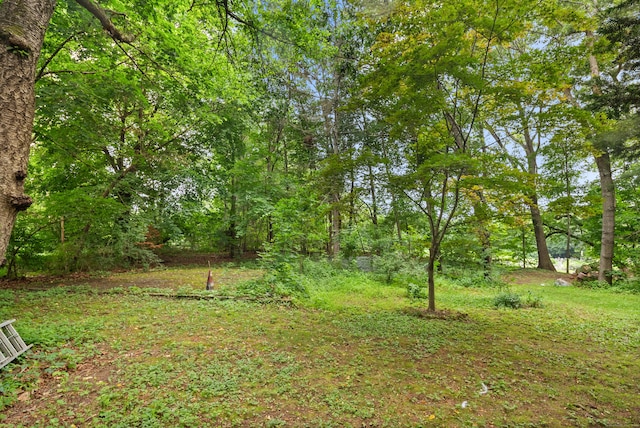 46 Dyer Ave, Canton, CT 06019 - view of yard