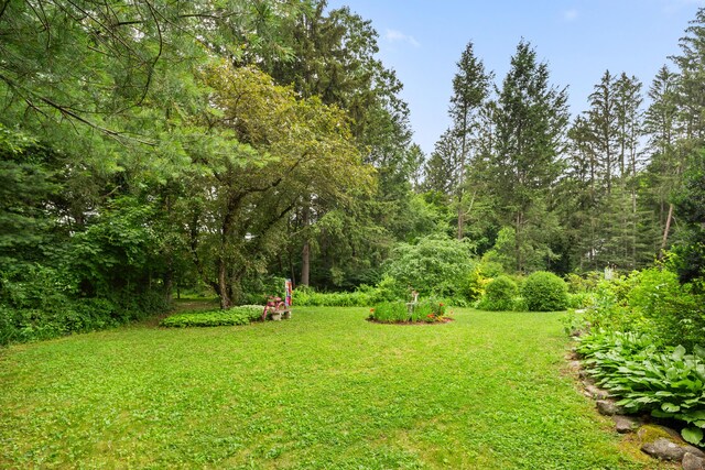 46 Dyer Ave, Canton, CT 06019 - view of grassy yard with a view of trees