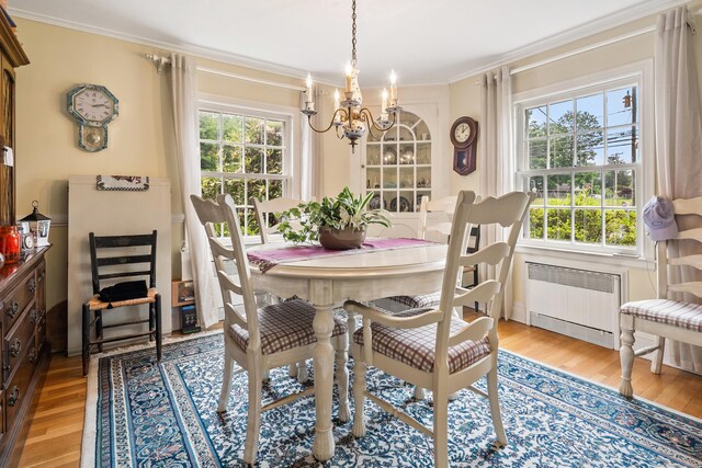 46 Dyer Ave, Canton, CT 06019 - dining room featuring radiator, a chandelier, ornamental molding, and light wood-type flooring