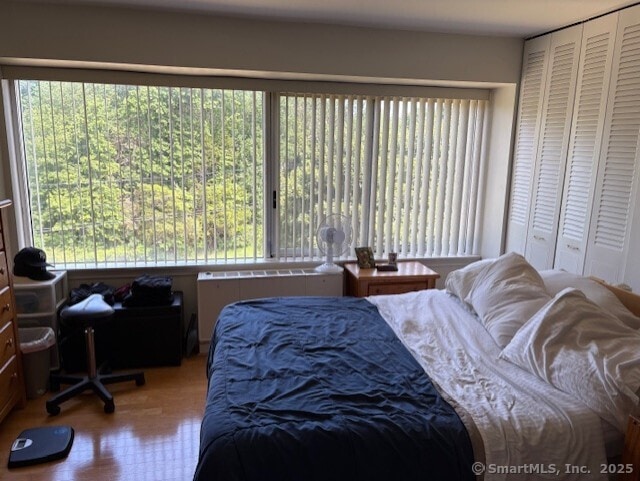 1310 Berlin Tpke Apt 525, Wethersfield, CT 06109 - bedroom featuring wood finished floors and a closet