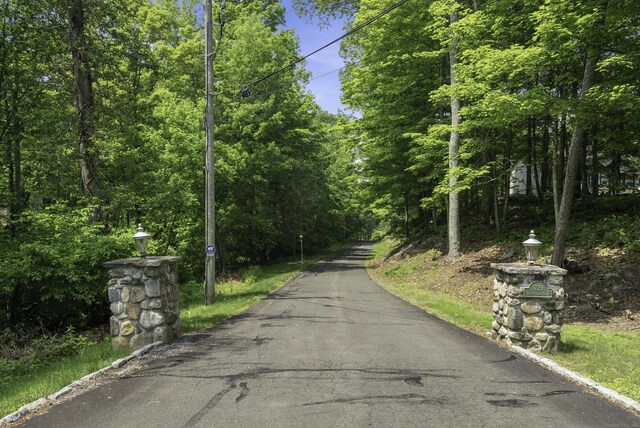 1729 Litchfield Rd, Watertown, CT 06795 - view of asphalt road featuring street lights and a view of trees