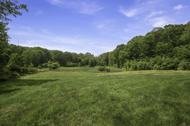 1729 Litchfield Rd, Watertown, CT 06795 - view of yard featuring a view of trees