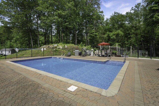 1729 Litchfield Rd, Watertown, CT 06795 - view of pool featuring a patio area