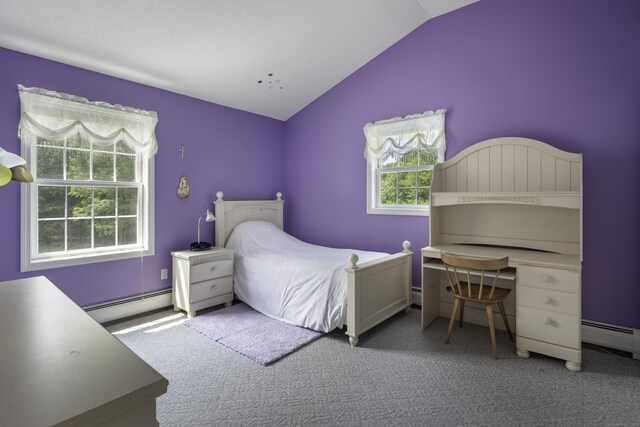 1729 Litchfield Rd, Watertown, CT 06795 - bedroom with a baseboard radiator, lofted ceiling, and carpet flooring