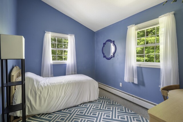 1729 Litchfield Rd, Watertown, CT 06795 - bedroom with baseboard heating, lofted ceiling, and carpet floors