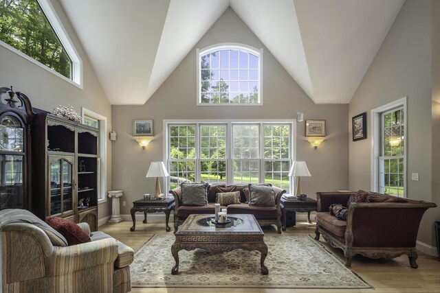 1729 Litchfield Rd, Watertown, CT 06795 - living area featuring plenty of natural light, high vaulted ceiling, light wood-style floors, and baseboards