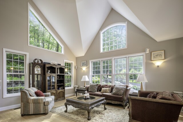 1729 Litchfield Rd, Watertown, CT 06795 - living room with high vaulted ceiling, light wood-style floors, and baseboards