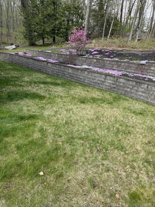 1729 Litchfield Rd, Watertown, CT 06795 - view of green lawn