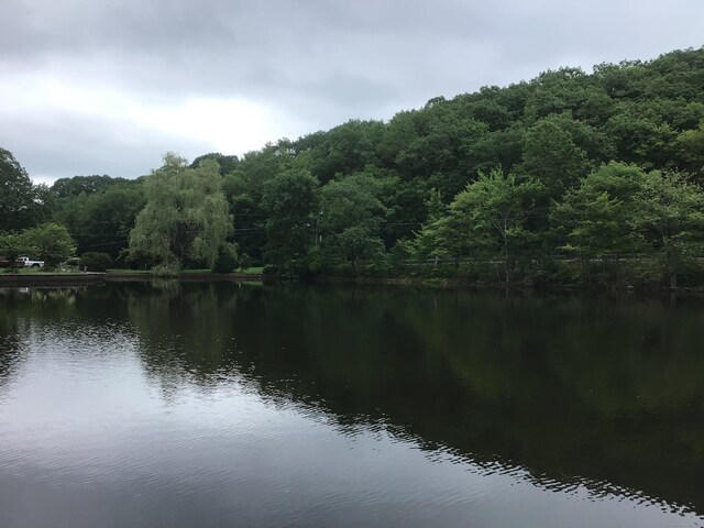 1045 Thomaston Rd, Watertown, CT 06795 - water view featuring a heavily wooded area
