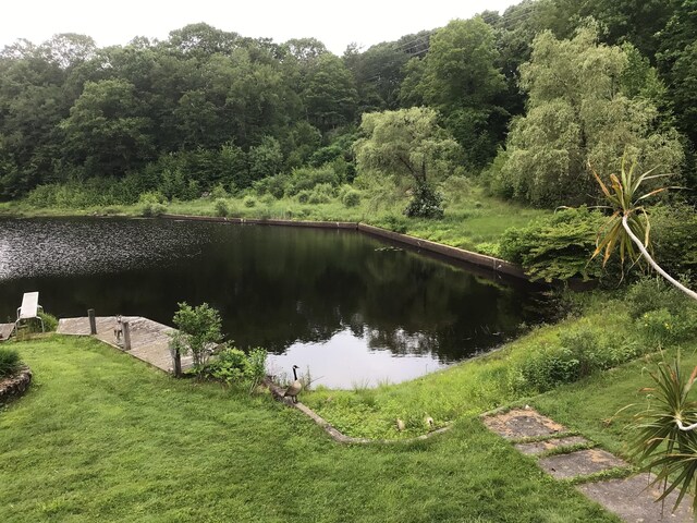 1045 Thomaston Rd, Watertown, CT 06795 - water view featuring a forest