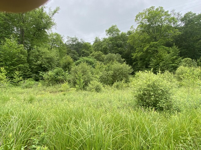 1045 Thomaston Rd, Watertown, CT 06795 - view of undeveloped land