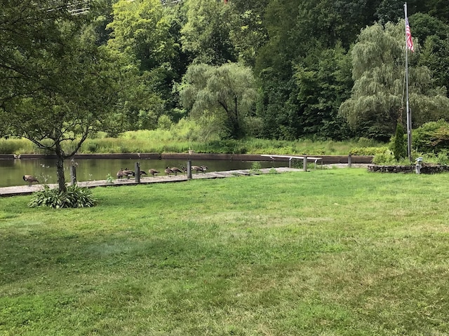 1045 Thomaston Rd, Watertown, CT 06795 - photo 6