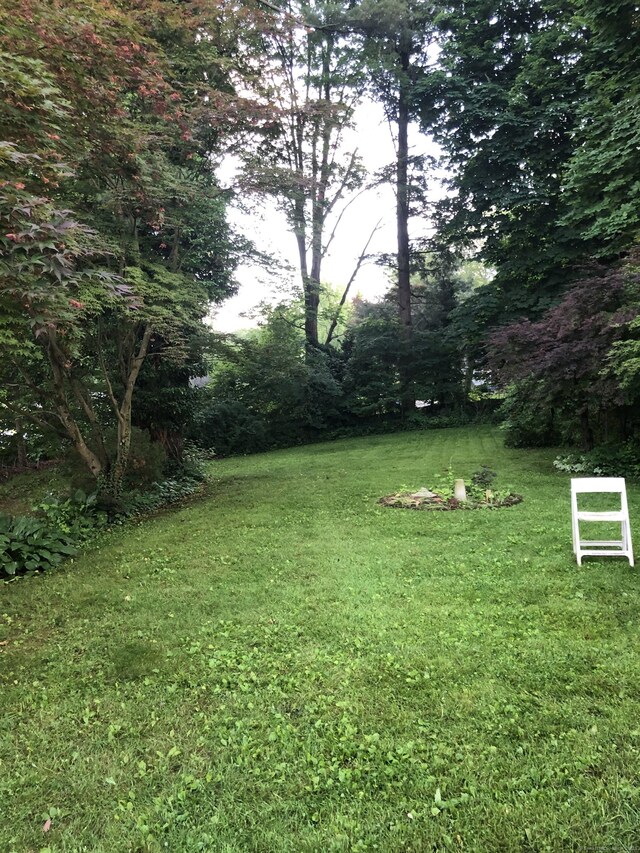50 Richard Dr, Hamden, CT 06514 - view of grassy yard