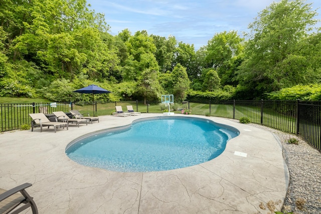 197 Webb Rd, Naugatuck, CT 06770 - view of pool featuring a patio