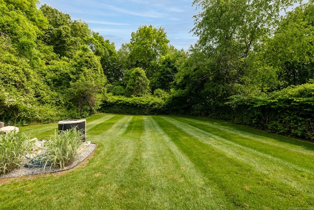 197 Webb Rd, Naugatuck, CT 06770 - view of green lawn