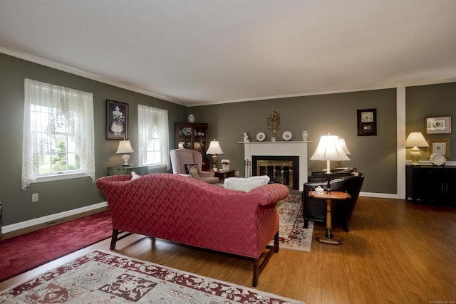 11 Oxford Dr Unit 11, Suffield, CT 06078 - living area featuring a glass covered fireplace, wood finished floors, and crown molding