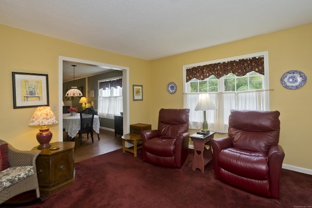 11 Oxford Dr Unit 11, Suffield, CT 06078 - living area featuring carpet flooring and baseboards