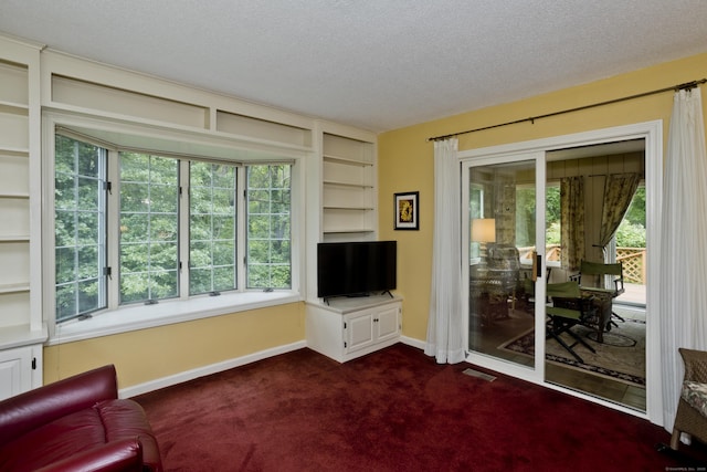 11 Oxford Dr Unit 11, Suffield, CT 06078 - living area with a textured ceiling, dark carpet, healthy amount of natural light, and built in features