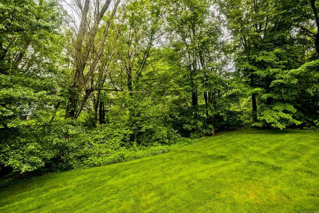 11 Oxford Dr Unit 11, Suffield, CT 06078 - view of grassy yard