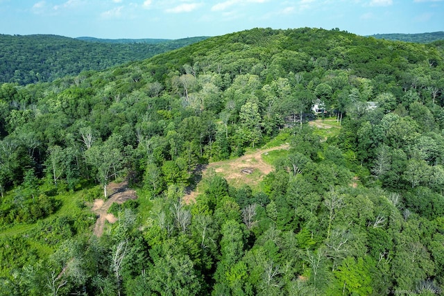 178 Carter Rd, Kent, CT 06754 - view of mountain background with a heavily wooded area
