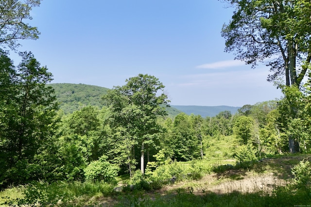 178 Carter Rd, Kent, CT 06754 - view of mountain background with a heavily wooded area