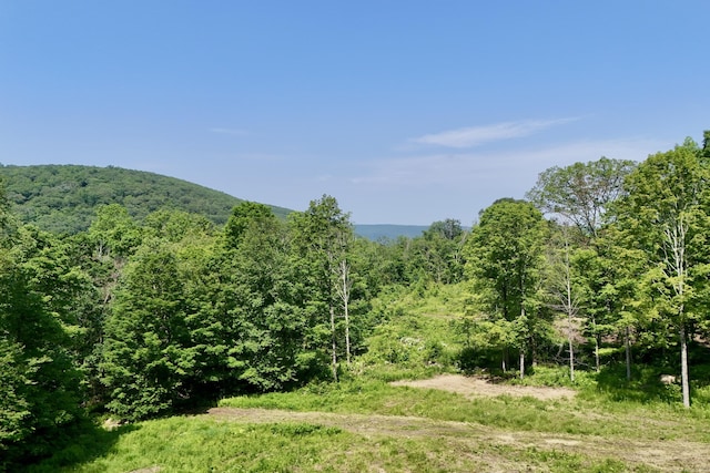 178 Carter Rd, Kent, CT 06754 - view of mountain background with a forest